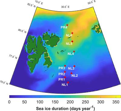 Uptake of sympagic organic carbon by the Barents Sea benthos linked to sea ice seasonality